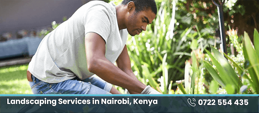 Landscaping Services in Nairobi and Kenya